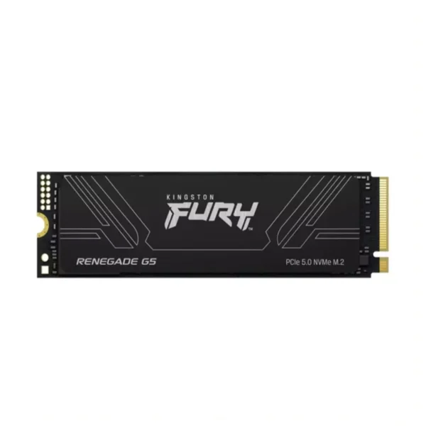 Kingston Fury Disco Duro SSD 1024GB Renegade G5