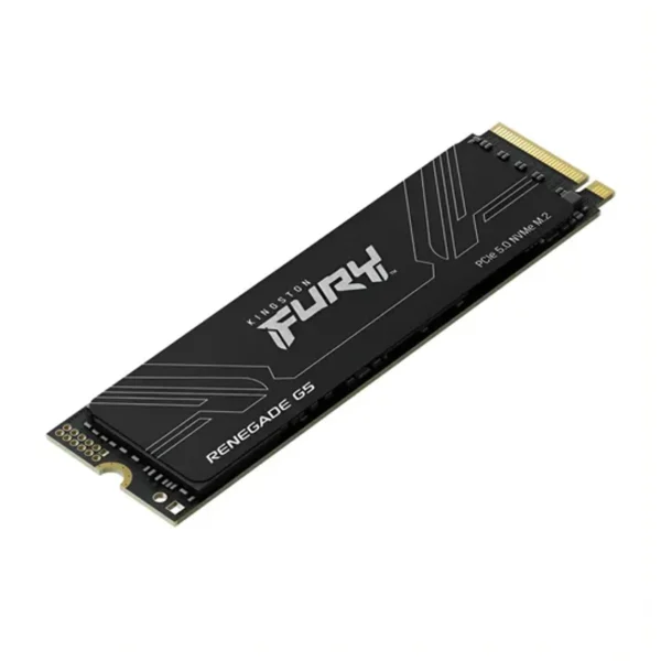 Kingston Fury Disco Duro SSD 4096 GB Renegade G5